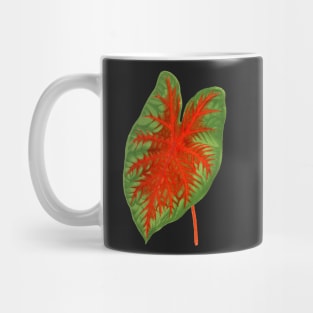 Caladium Postman Joyner - botanical illustration Mug